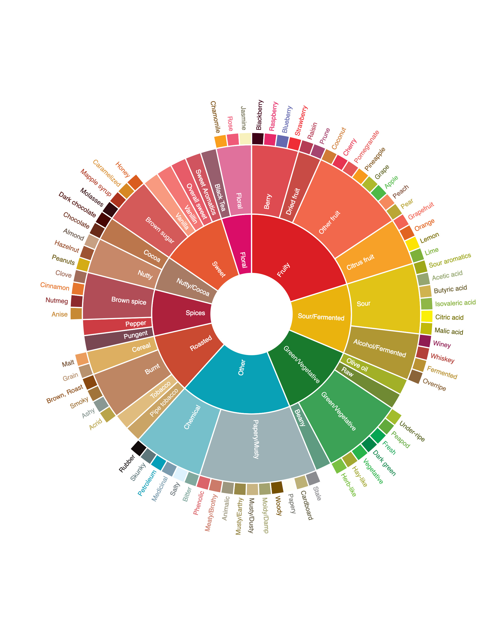 Coffee Aroma Wheel